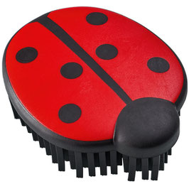 Hondenborstel ladybug