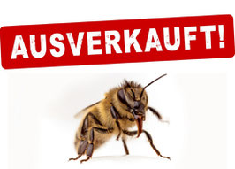 Bayerischer Blütenhonig 500g