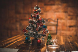 Weihnachtsessen im Tiny Restaurant – klein, fein & voller Genuss