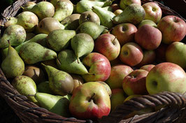 Obstbrand mit Fruchtauszug
