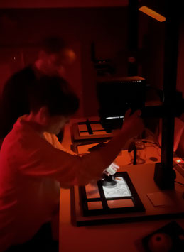 Darkroom B&W workshop for beginners — Taller revelat positiu en B/N per a principiants