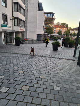 Starnberg-City