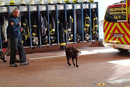 Trailen bei der Feuerwehr