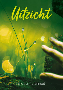 Uitzicht - Elje van Turennout; roman, 2023