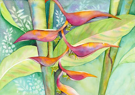 【275-0024】Hawaiian Art (Rainbow Heliconia)