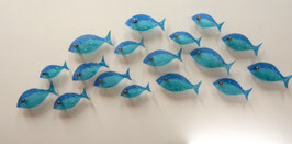 Set 16 peces / 16 fish set