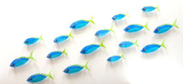 SET 16 PECES FUSILEROS /16 FISH SET YELLOW TALE FUSILER