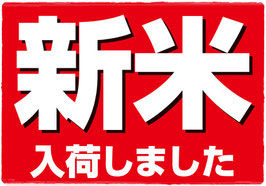 高知県産コシヒカリ【玄米】5㎏　令和7年産