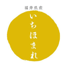 福井｜特別栽培米・いちほまれ【玄米】5㎏｜完売