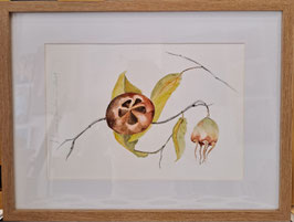 OTOÑO I