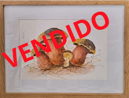 OTOÑO II