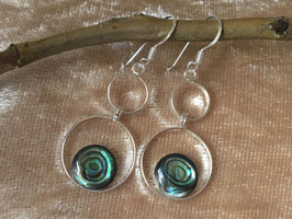 Abalone Ohrhänger, gefasst in 925 Sterlingsilber OR 026