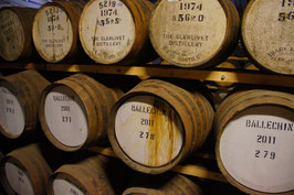 Fassstärke Whisky-Tasting Mannheim