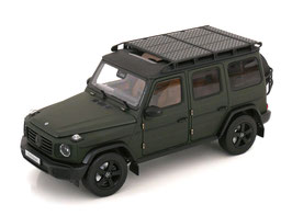 Mercedes-Benz G-Klasse Professional Line W465 matt-dunkel oliv / schwarz