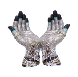 Hands of the Future