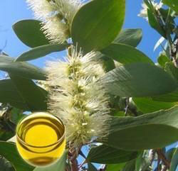Aceite de Niaouli
