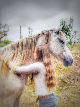Soin énergétique avec les chevaux