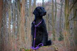 Moxonleine LILA Premium 8mm
