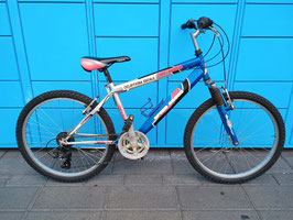 Mountain bike del 24
