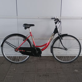 Holland da 26 pollici #1