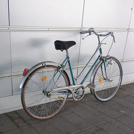 Holland da 26 pollici #2