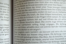 Schrift (TTF-Font) ‚Sascha Stork Kcagi Kassiopeia‘