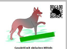 Cavaletti mit einfachen Mitteln