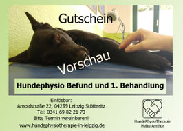 Hundephysiotherapie