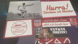 Zwickau Szeneklebermix H8210