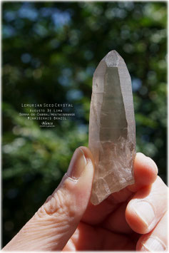 Lemurian seed crystal スモーキークォーツ - 福岡の天然石 Lemurian seed crystal スモーキークォーツ - 福岡の天然石