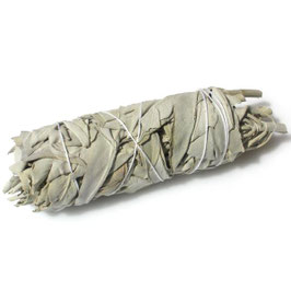 Grosse Bündel