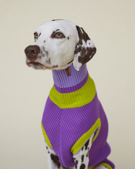 THE GLOW JUMPER (violett) lumiies®
