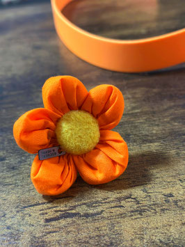 Blümchen Orange