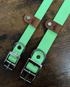 PASTELL GRÜN- HALSBAND
