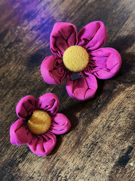 Blümchen Magenta