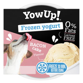 YowUp! Frozen Yogurt - Speck