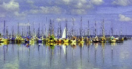 Segelboote auf dem Steinhuder Meer