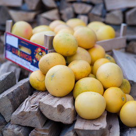 Grapefruit gelb (Stückweise)