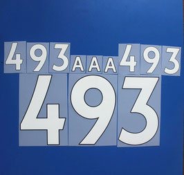 背番号No.493