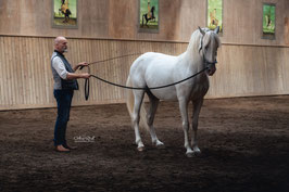 Zuschauerticket Bent Branderup-Kurs 17./18.01.2026