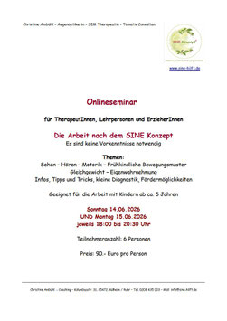 Onlineseminar zum SINE Konzept