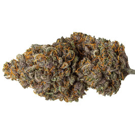 Legendary OG Diesel