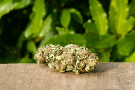 White CBG