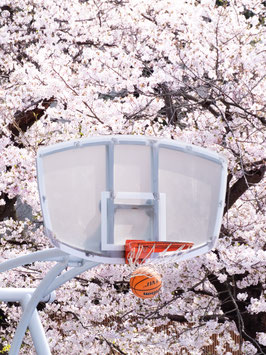 Sakura Swoosh