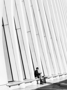 BNW IX