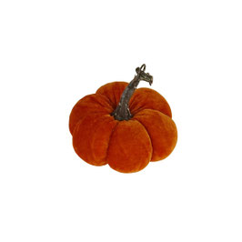 Citrouille orange PM