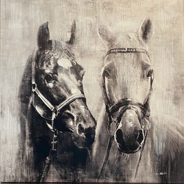 Chevaux IL102553 80x80cm
