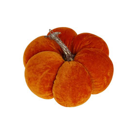 Citrouille orange GM