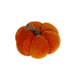 Citrouille orange moyenne