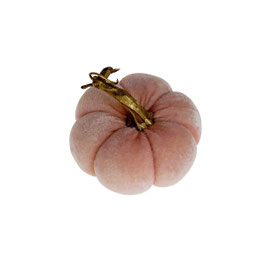 Citrouille rose PM
